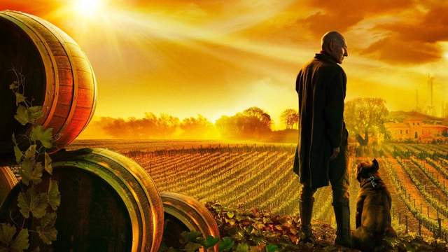 Star Trek: Picard – Neuer Trailer zeigt erstmals deutsche Synchronisation